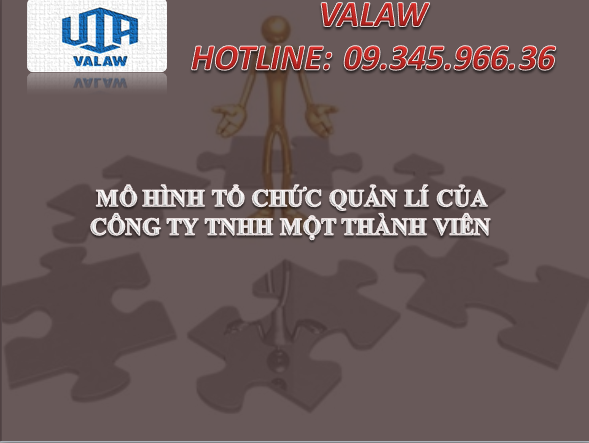 MÔ HÌNH TỔ CHỨC QUẢN LÝ CỦA CÔNG TY TNHH MỘT THÀNH VIÊN